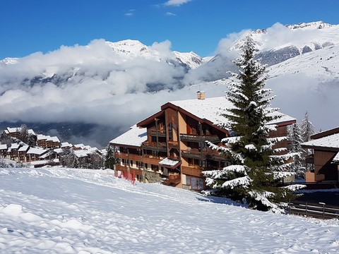 epervier vu de la piste